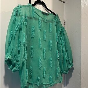 Zara Sheer Puffy Top